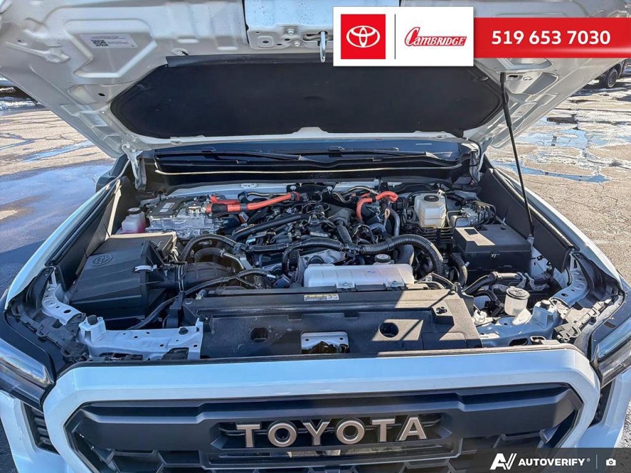 2024 Toyota TACOMA HYBRID  Photo