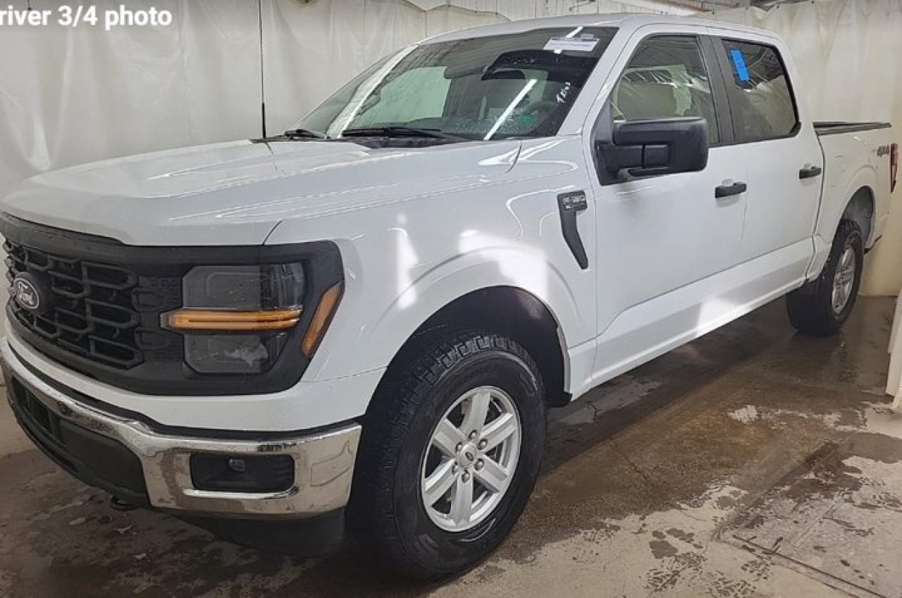 2024 Ford F-150 XL Crew 4X4 | 103A | CarPlay + Android | BSM | Hitch | Rear Camera | Alloy Wheels | and More ! Photo0
