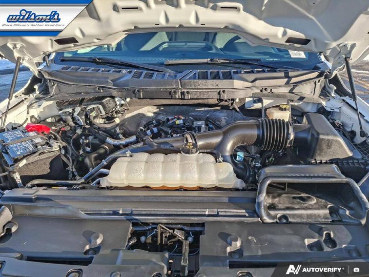 2024 Ford F-150 XL Crew 4X4 | 103A | CarPlay + Android | BSM | Hitch | Rear Camera | Alloy Wheels | and More ! Photo