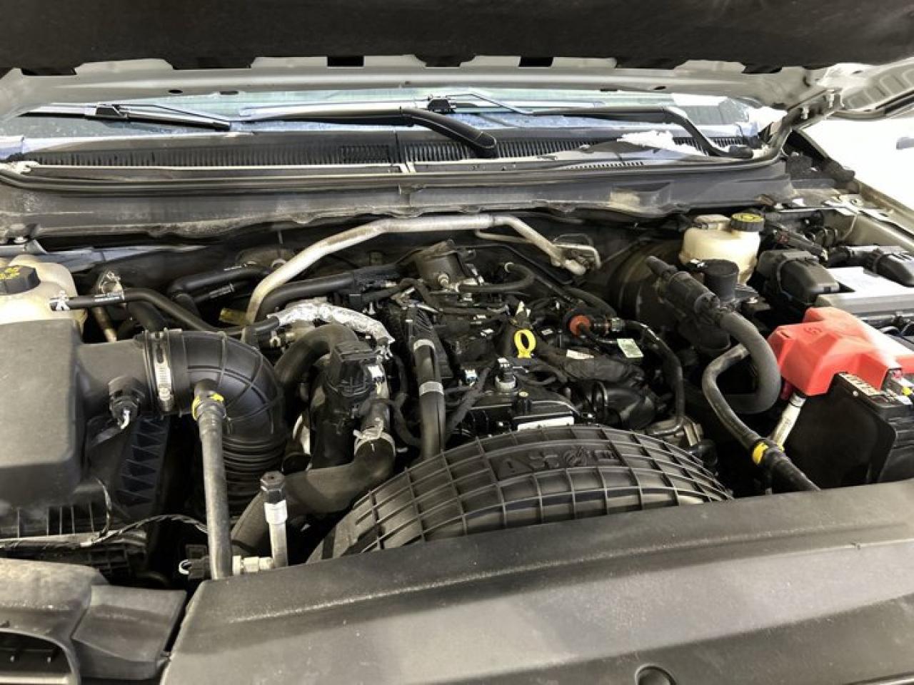 2023 Ford Ranger XLT 4WD | Black Appearance Package | Trailer Tow Package | Photo