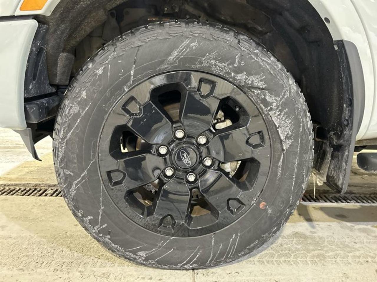 2023 Ford Ranger XLT 4WD, Black Appearance Package, Trailer Tow Package, SuperCrew 5' Box Photo