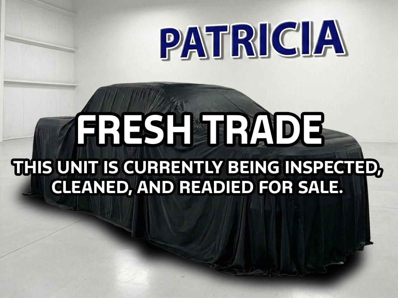 Used 2025 Ford Explorer ST-Line for sale in Manning, AB