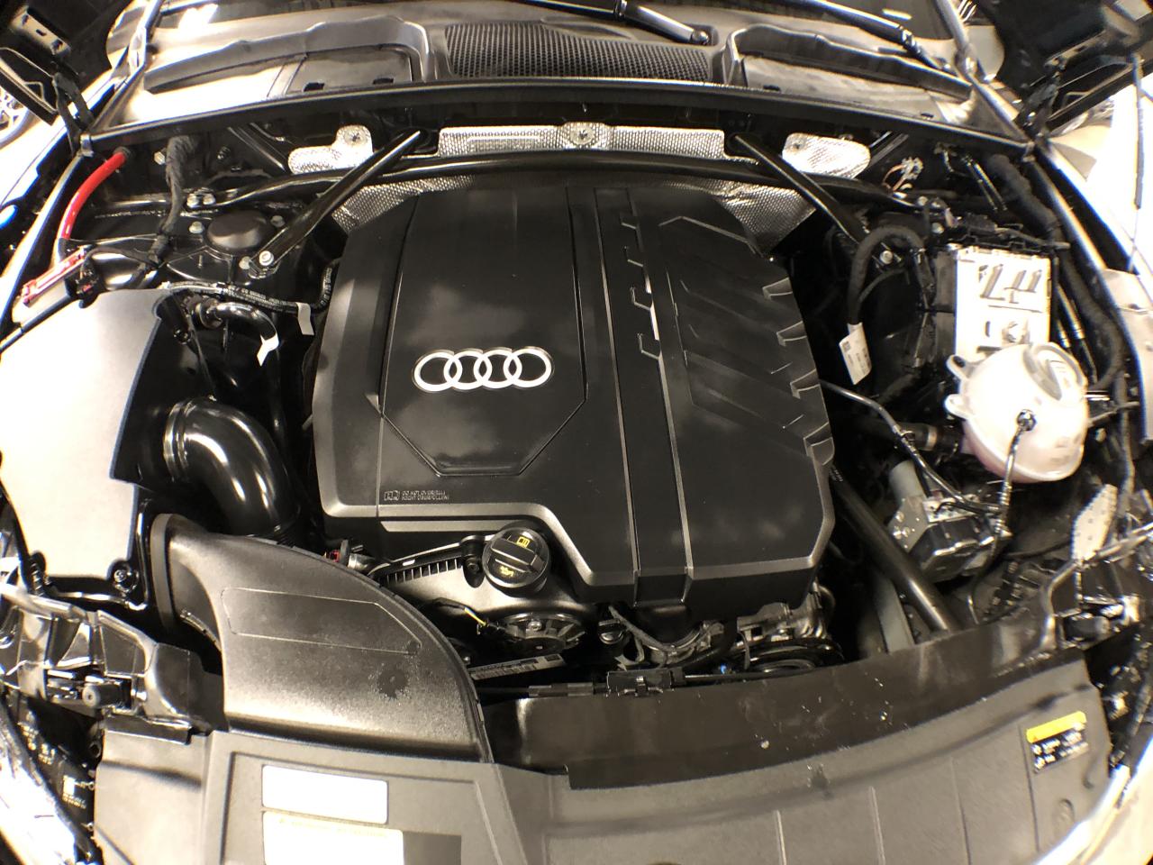 2024 Audi Q5 SPORTBACK PROGRESSIV S-LINE NAVI LEATHER PAN/ROOF Photo