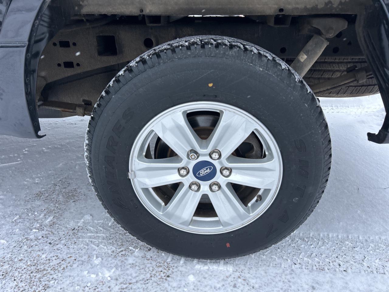 2020 Ford F-150 XL, RWD, 5 LITER, 3 PASSENGER, BACK UP CAMERA! - Photo #10