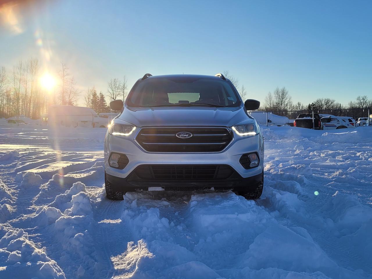 2017 Ford Escape SE Photo2