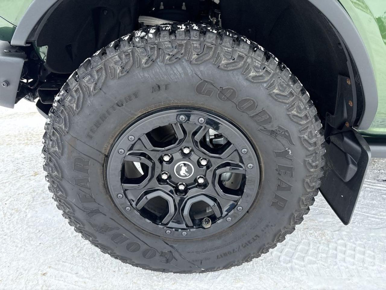 2024 Ford Bronco WildTrak Photo2