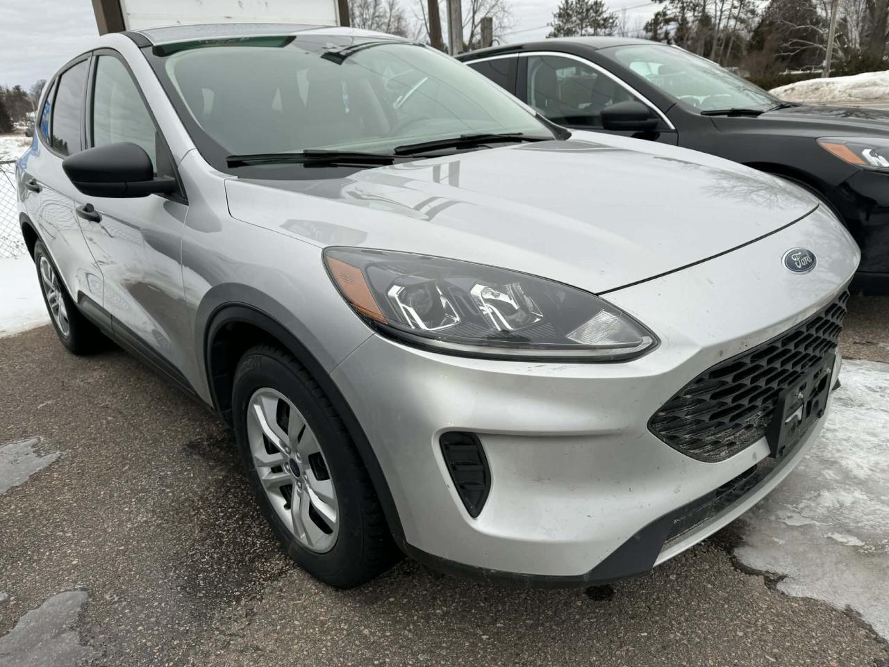 2020 Ford Escape S Photo