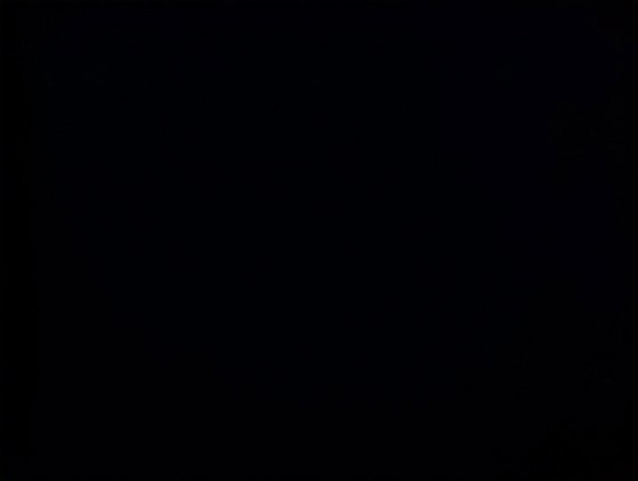 13373651