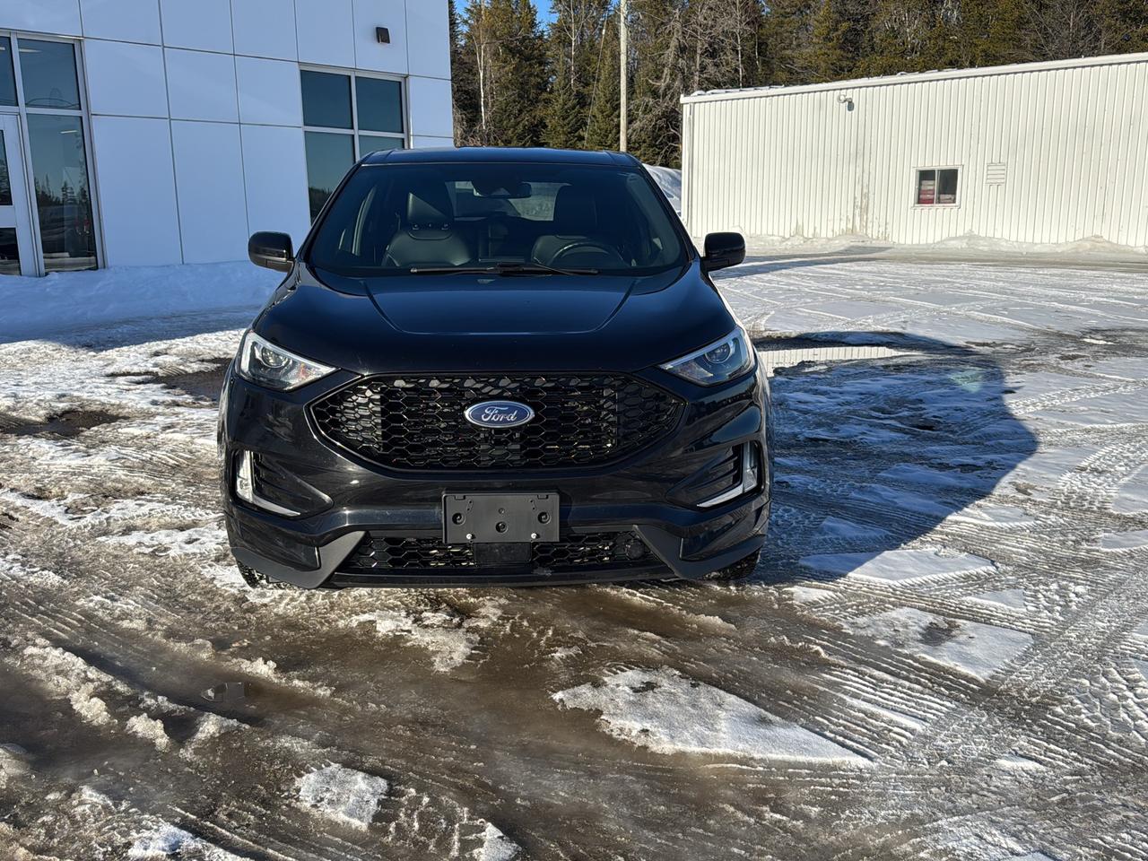 2021 Ford Edge ST Line Photo