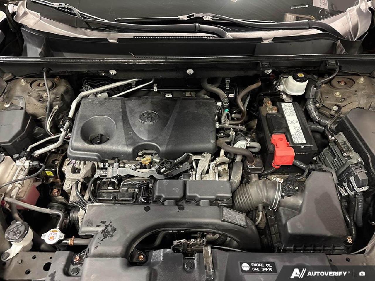 2019 Toyota RAV4 AWD TRAIL  - SofTex Seats -  Cooled Seats Photo