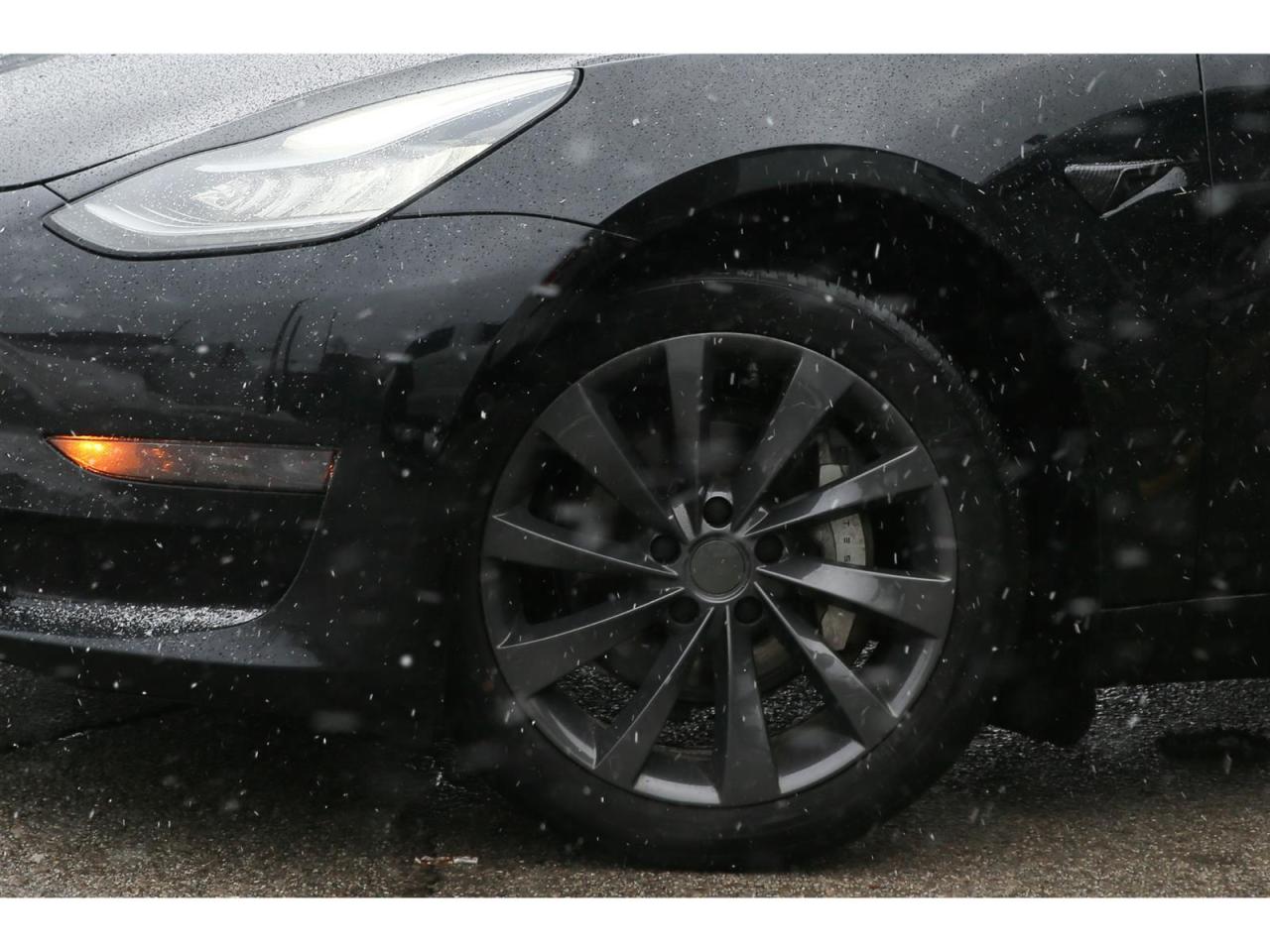 2019 Tesla Model 3 Premium Audio | All Glass Roof | Sentry Mode Security | Collision Warning Photo