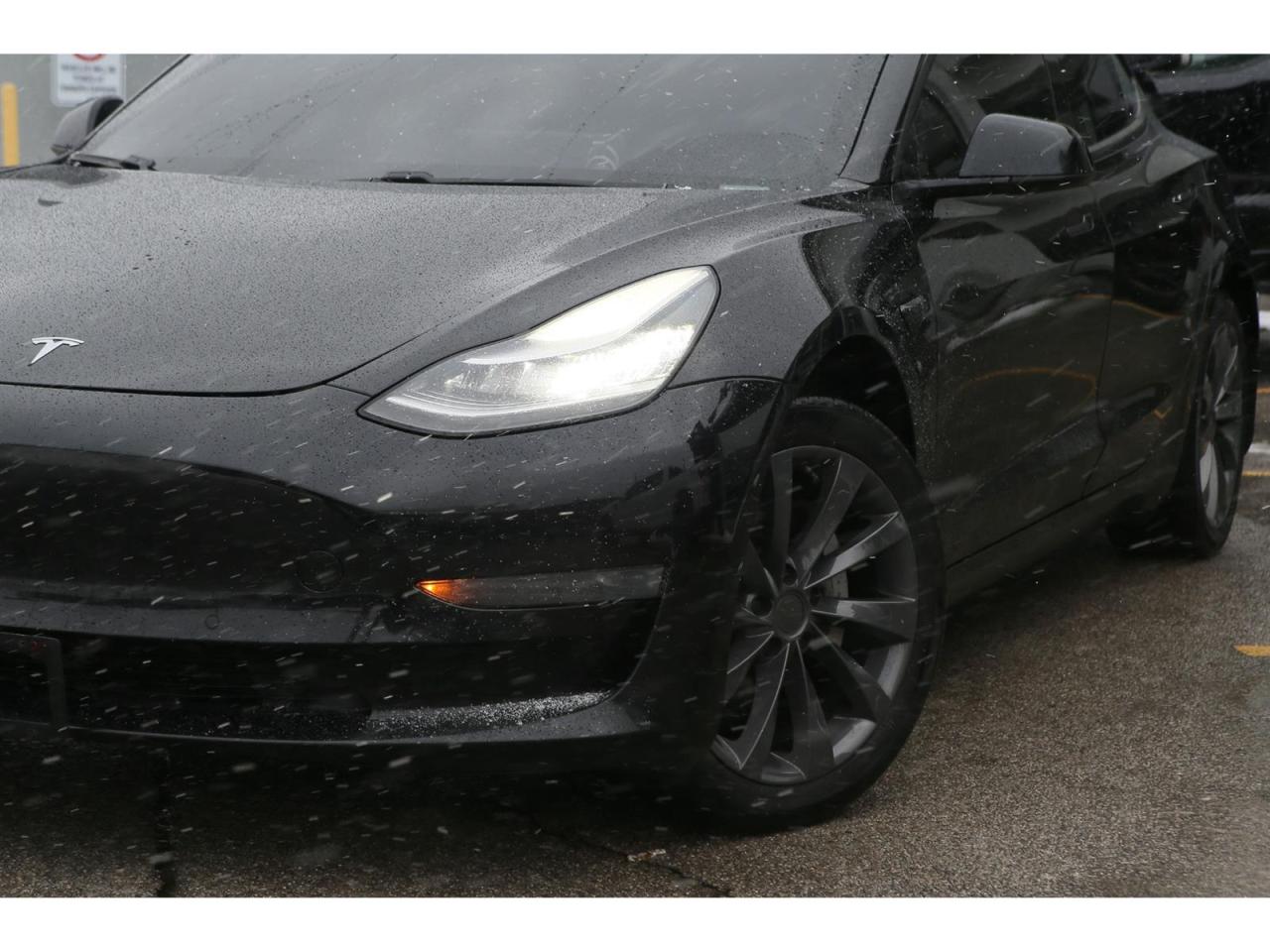 2019 Tesla Model 3 Premium Audio | All Glass Roof | Sentry Mode Security | Collision Warning Photo