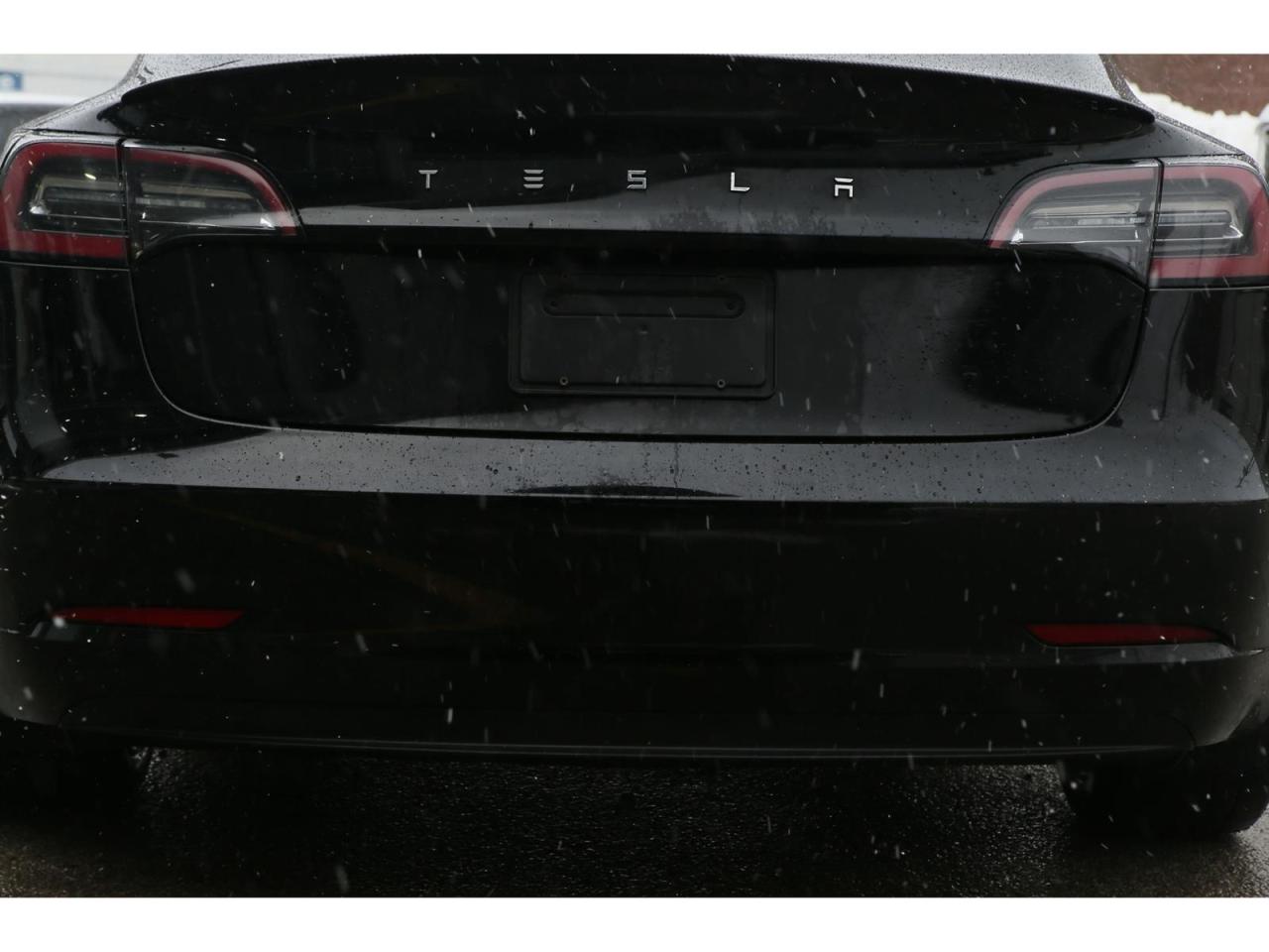 2019 Tesla Model 3 Premium Audio | All Glass Roof | Sentry Mode Security | Collision Warning Photo