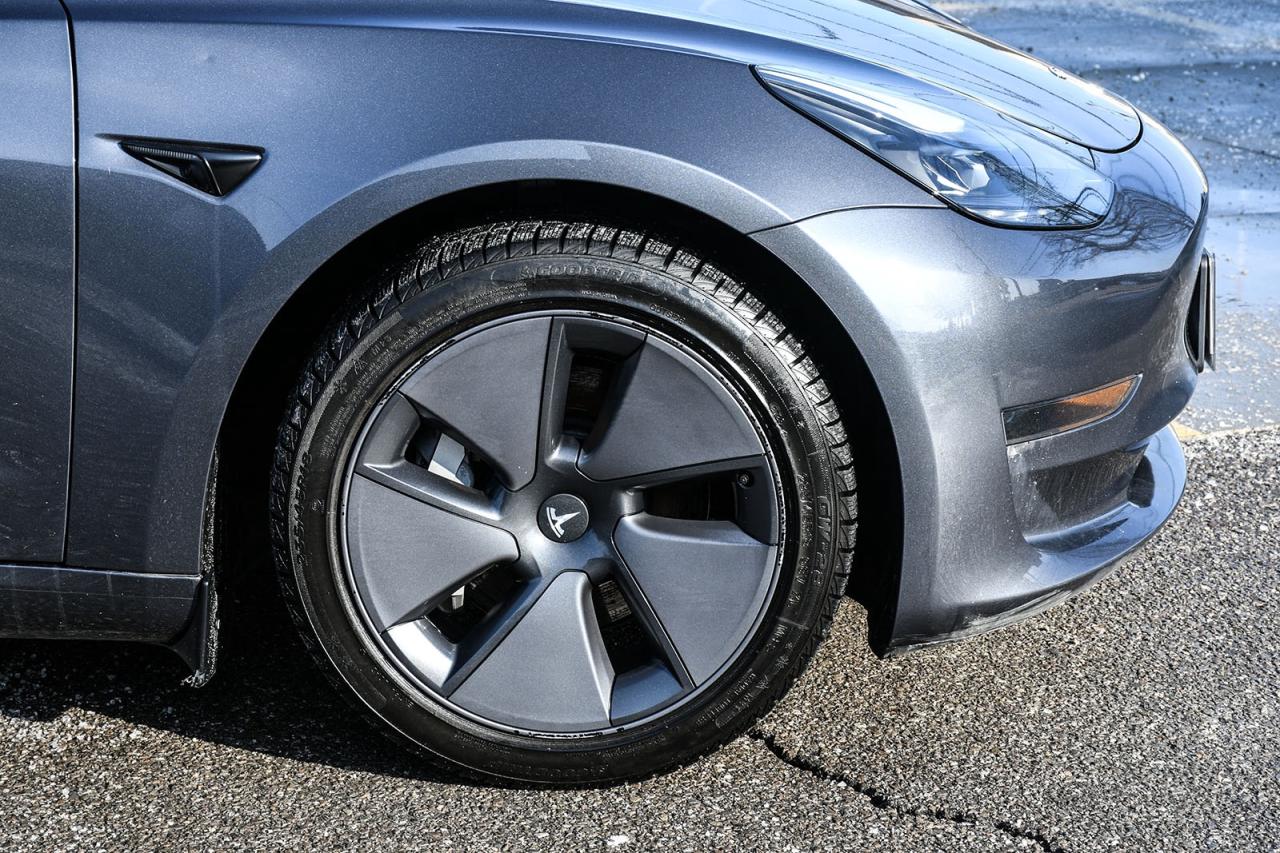 2023 Tesla Model 3 Base Photo