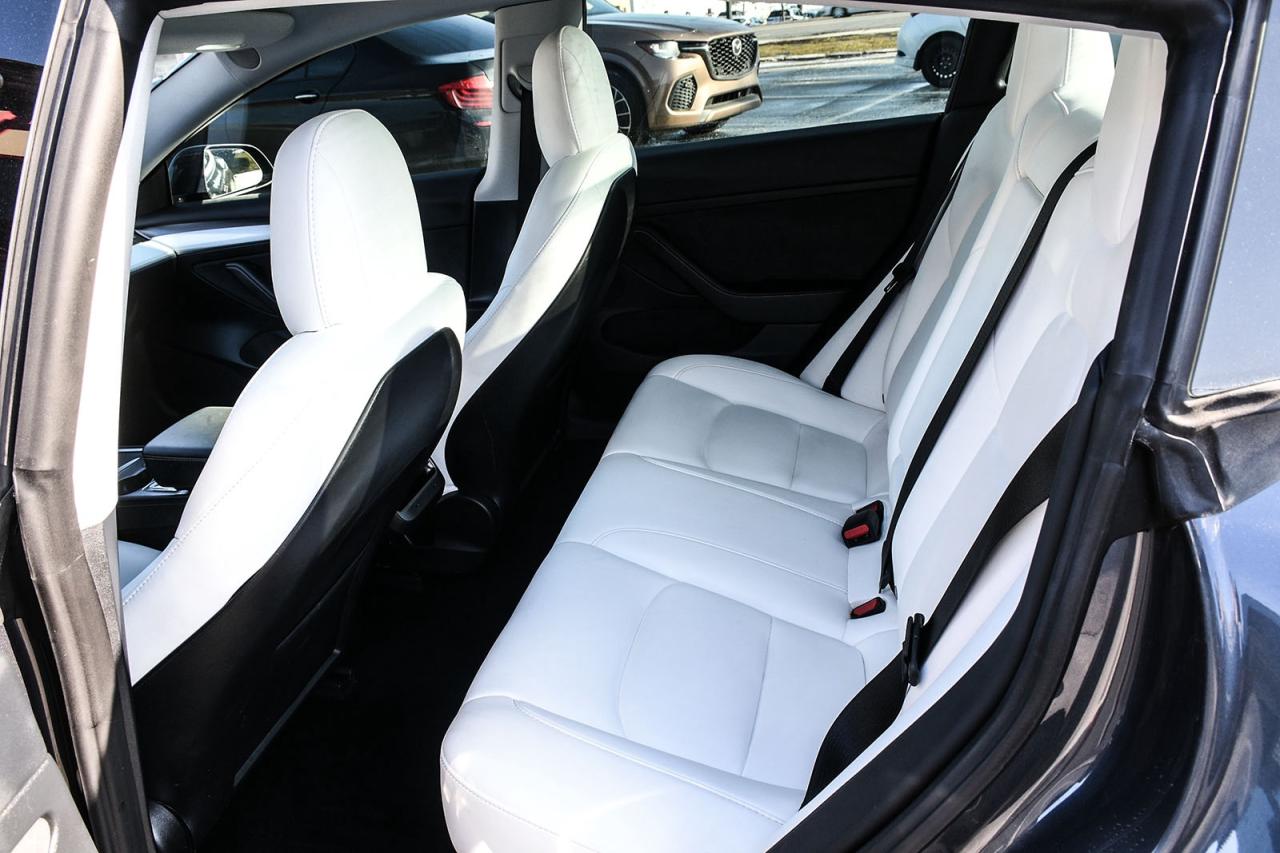 2023 Tesla Model 3 Base Photo