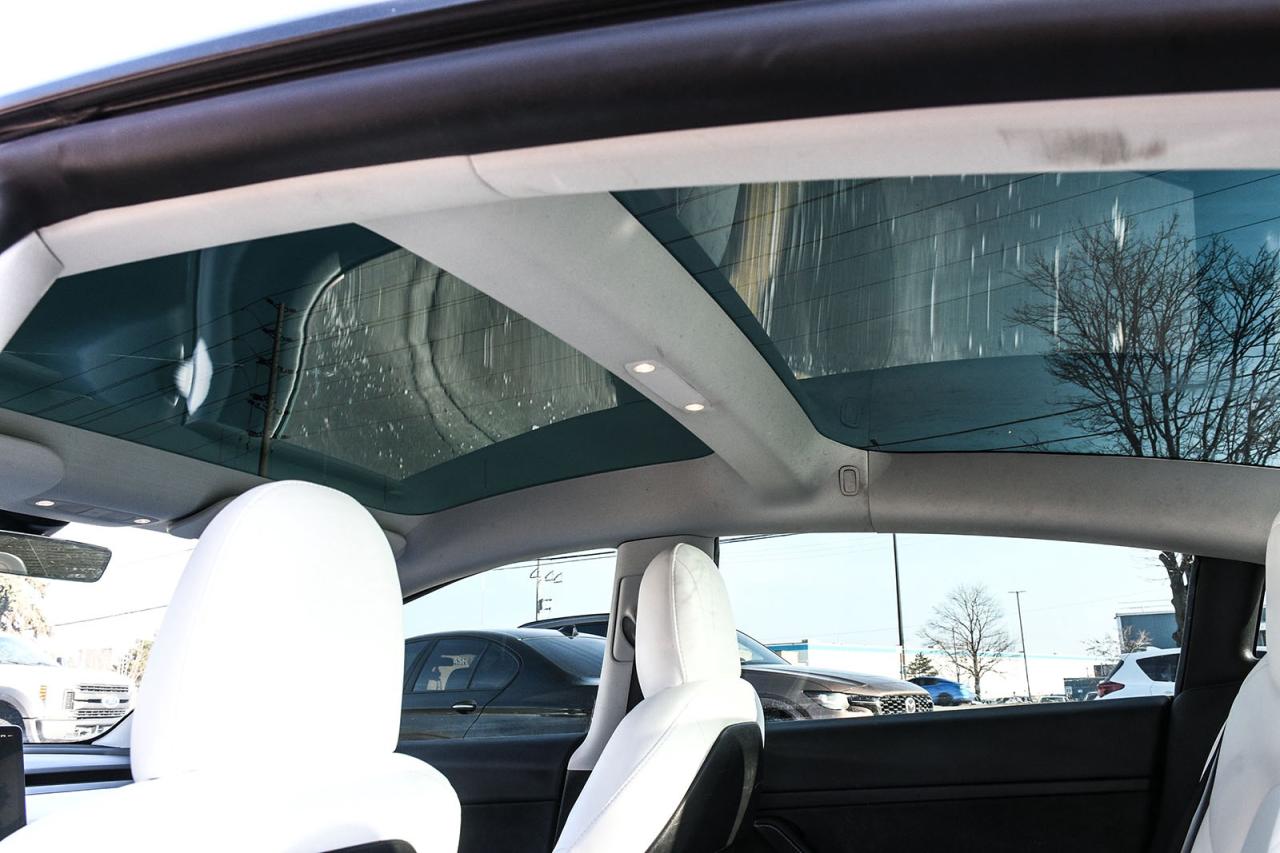 2023 Tesla Model 3 Base Photo