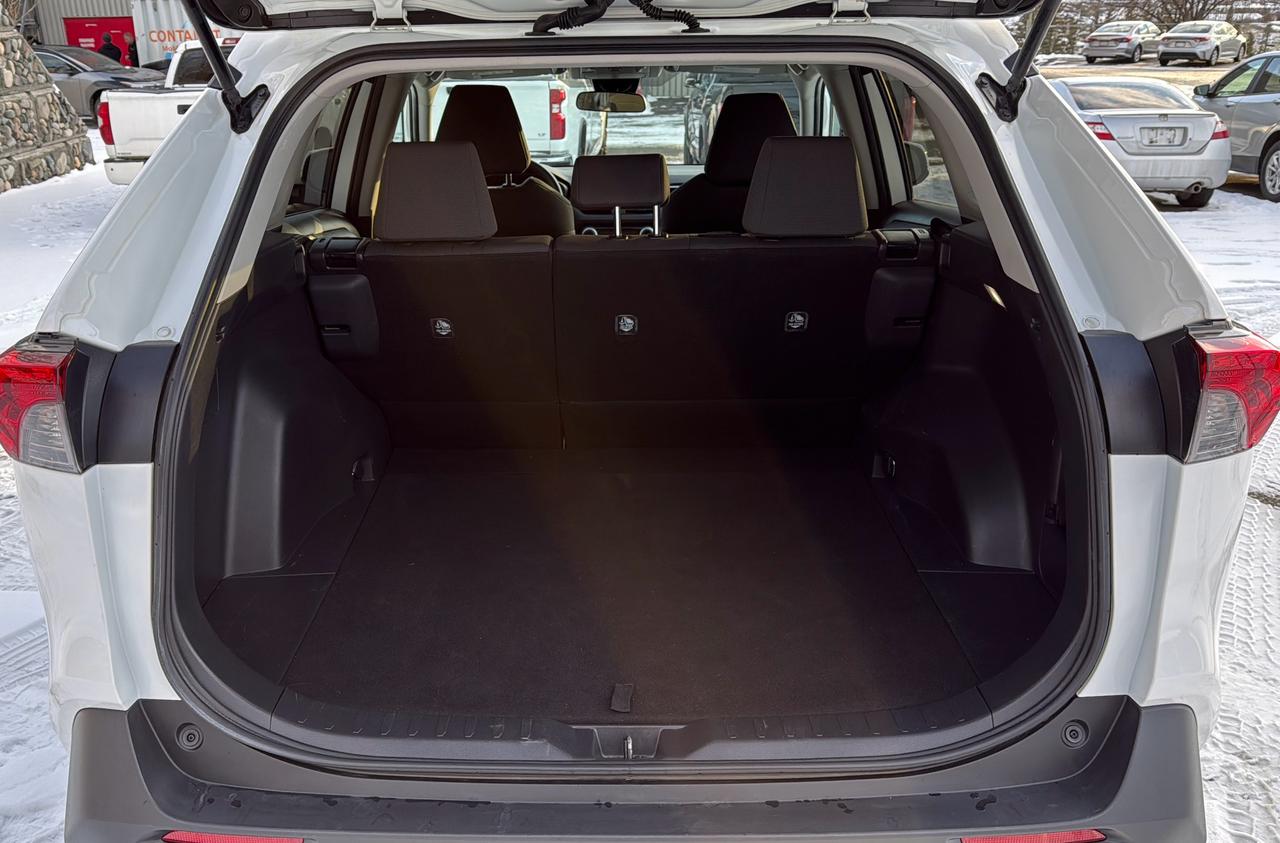 2024 Toyota RAV4 LE Photo