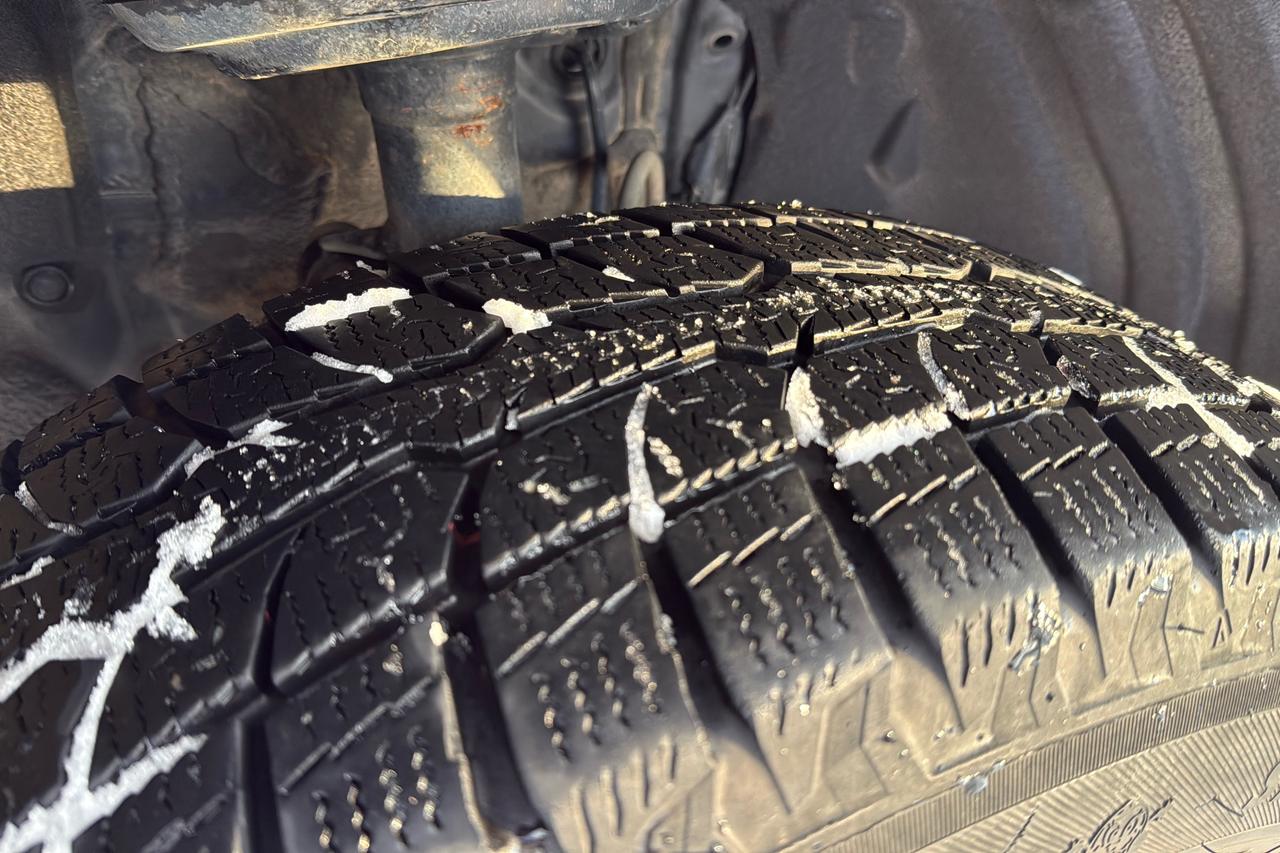 2024 Toyota RAV4 LE Photo