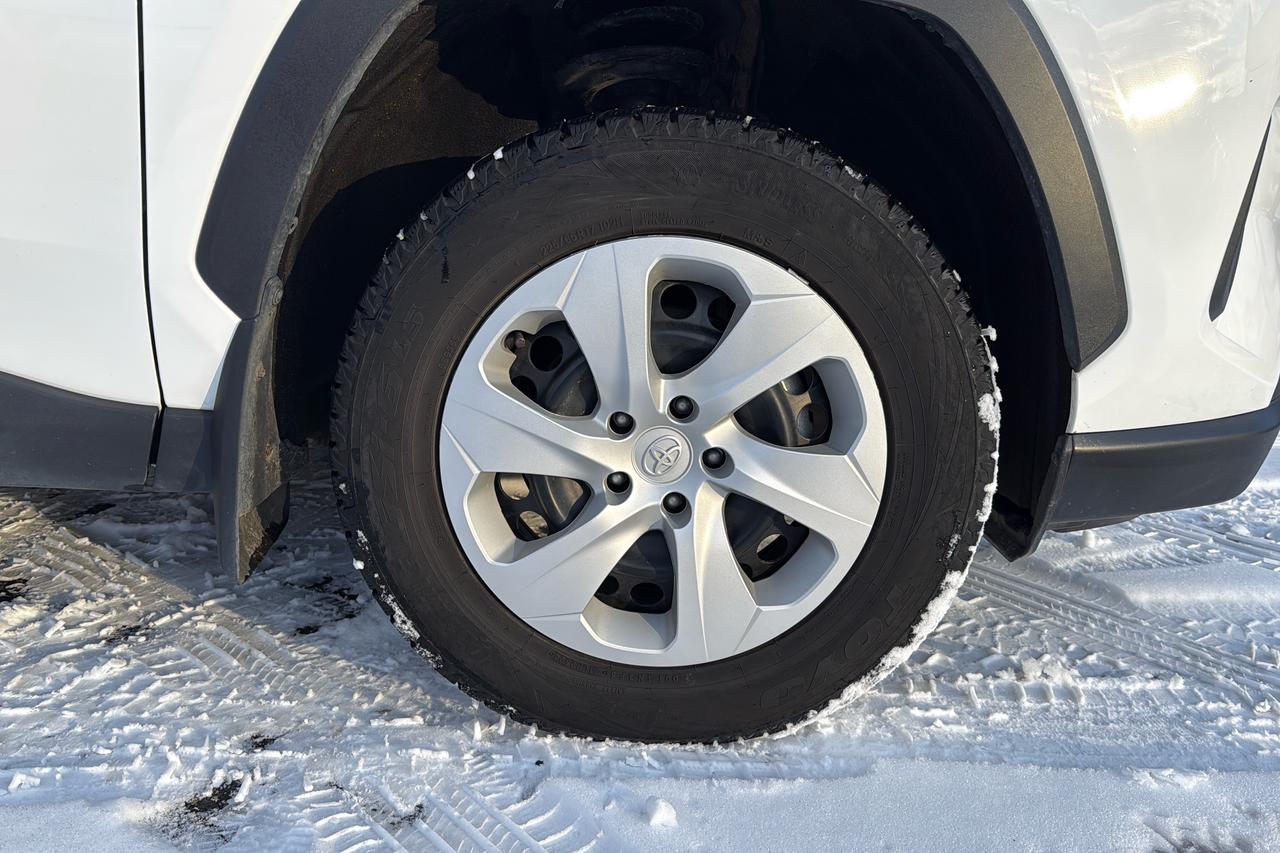 2024 Toyota RAV4 LE Photo