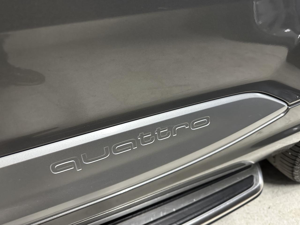 2017 Audi Q7 Progressiv S-Line Photo