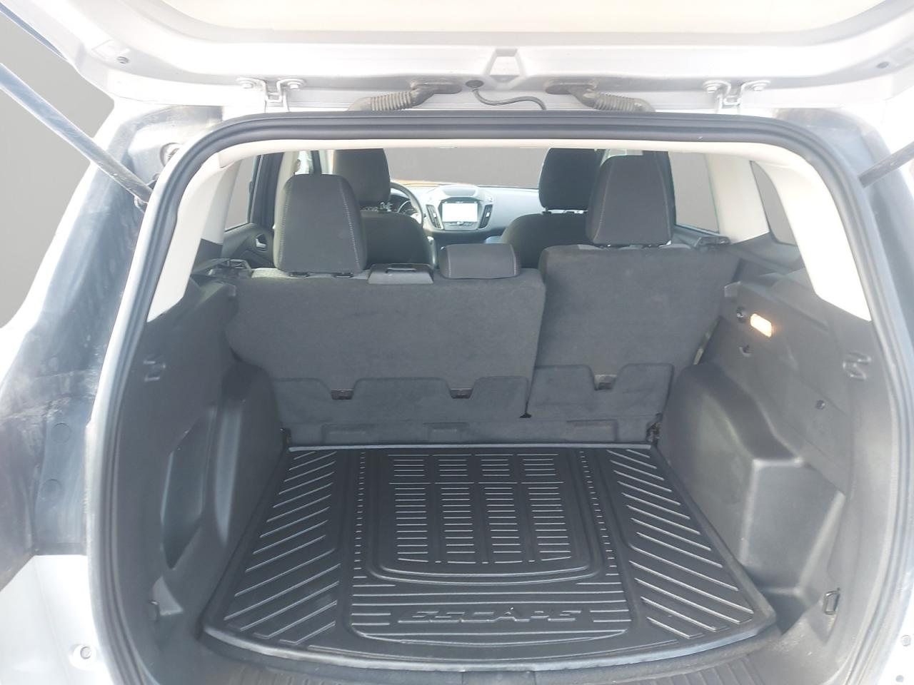 2019 Ford Escape SE Photo