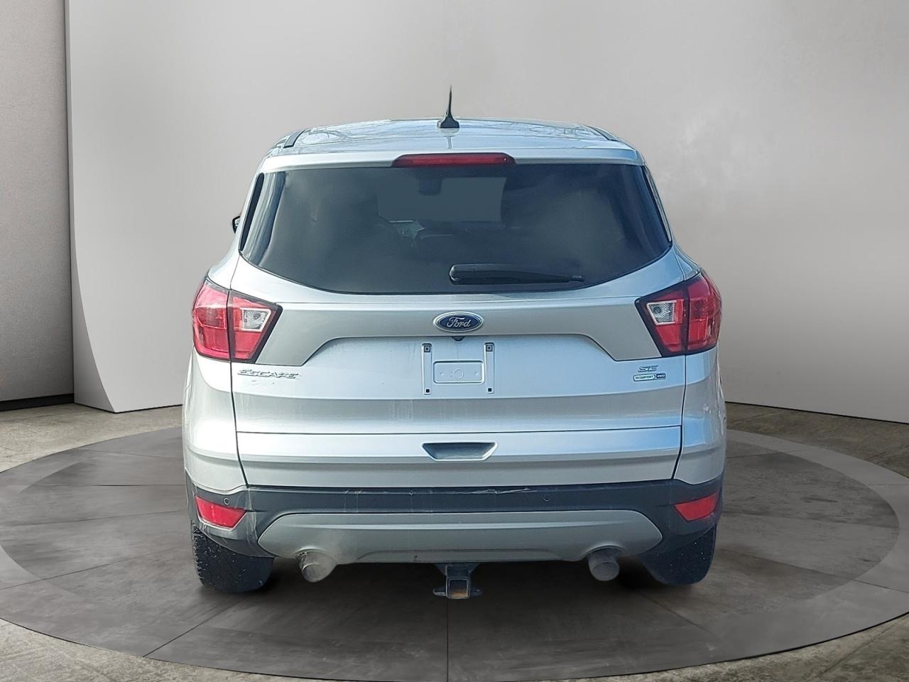 2019 Ford Escape SE Photo