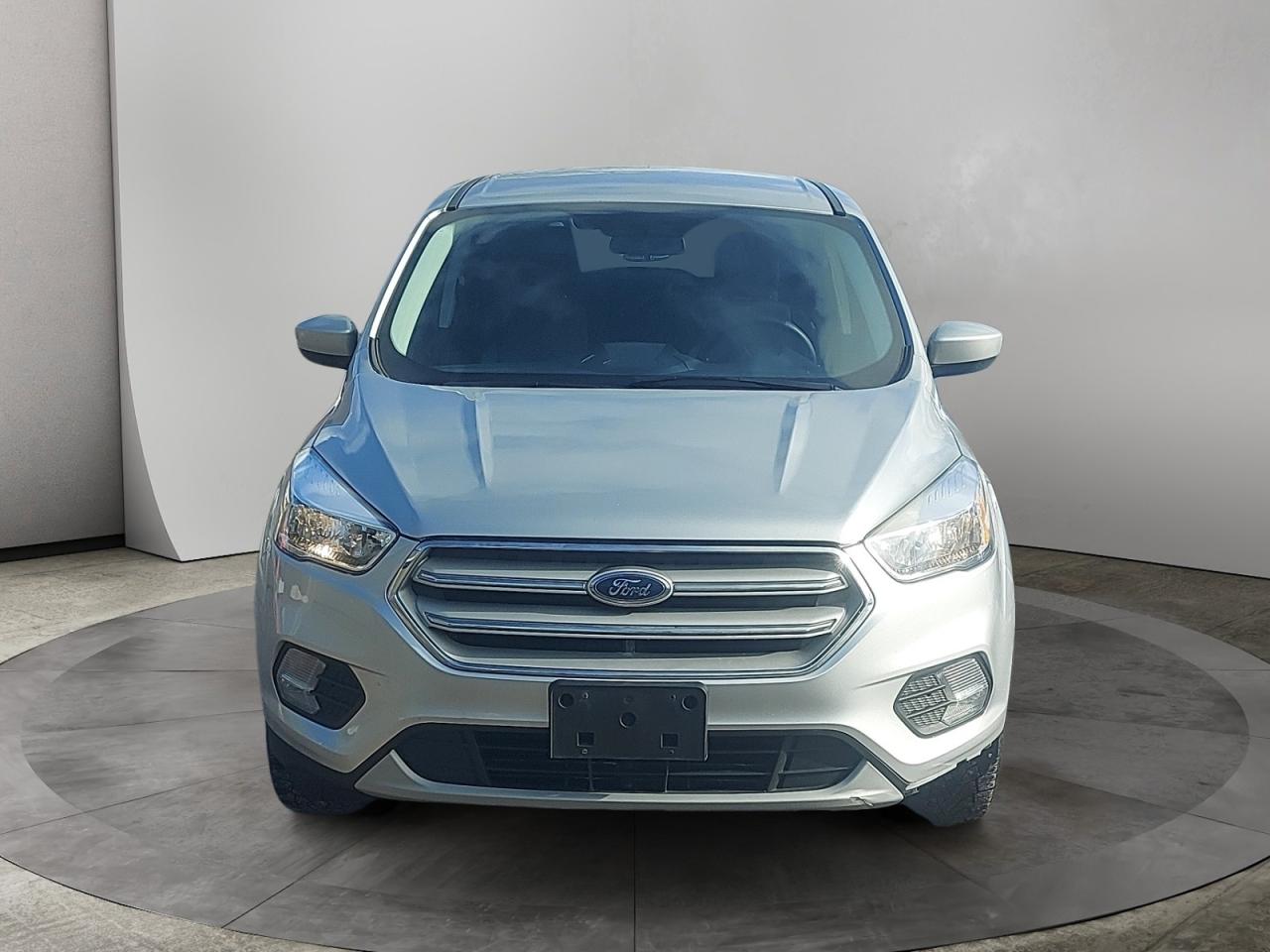 2019 Ford Escape SE Photo