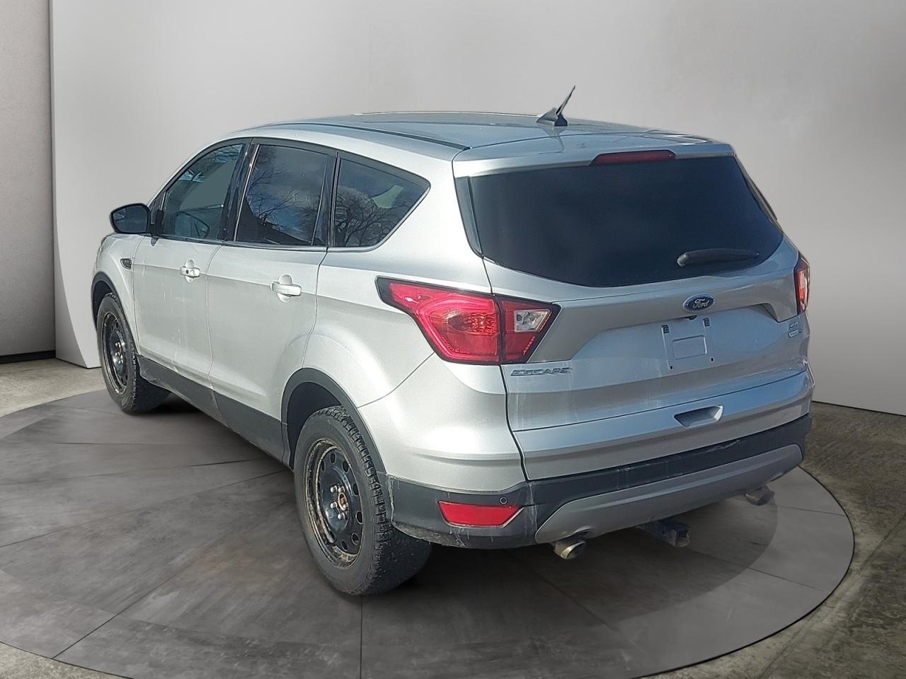 2019 Ford Escape SE Photo