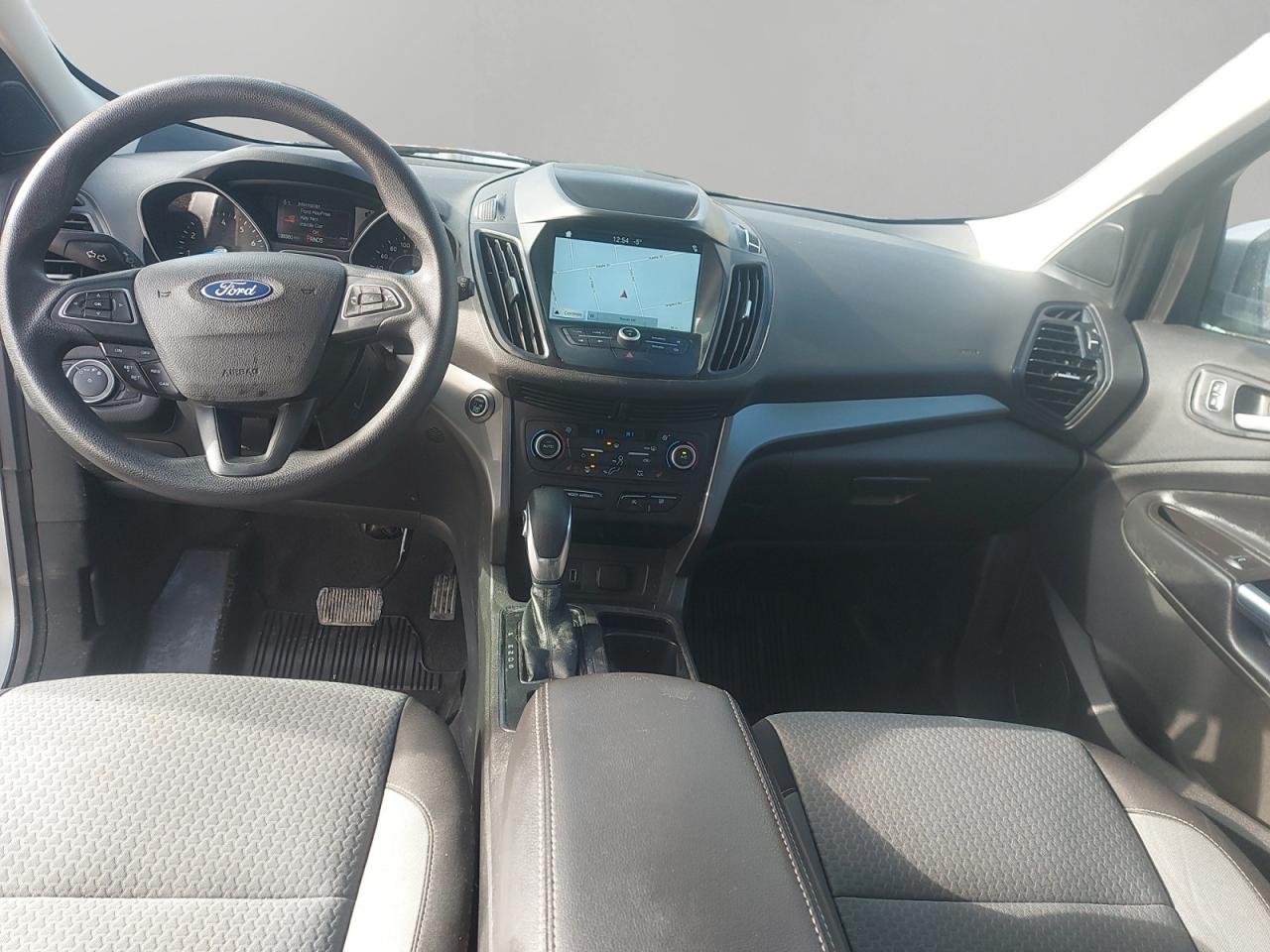 2019 Ford Escape SE Photo