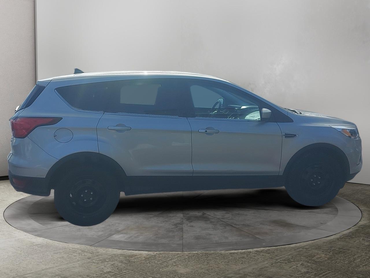 2019 Ford Escape SE Photo
