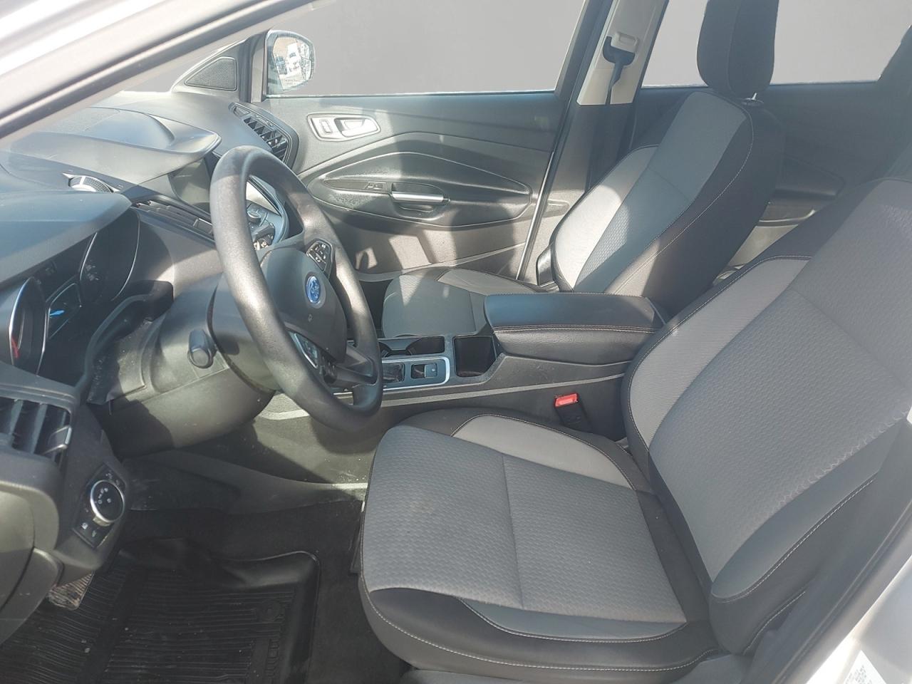 2019 Ford Escape SE Photo
