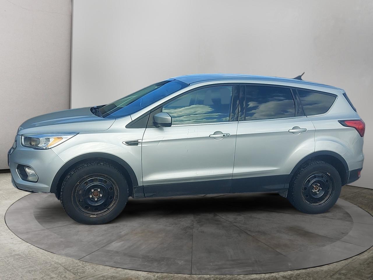 2019 Ford Escape SE Photo