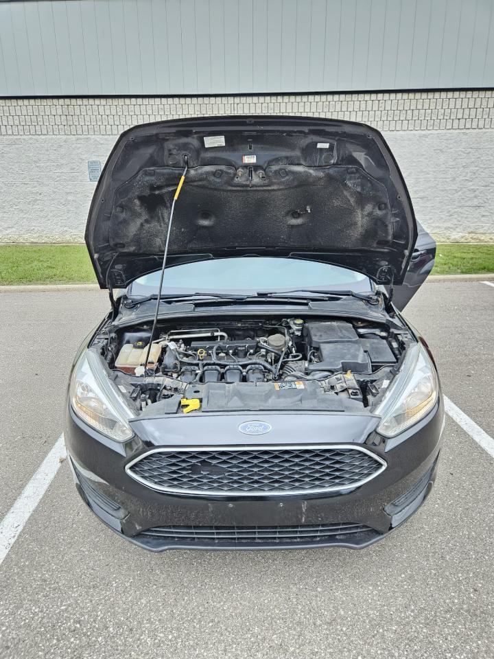 2015 Ford Focus 4DR SDN SE Photo