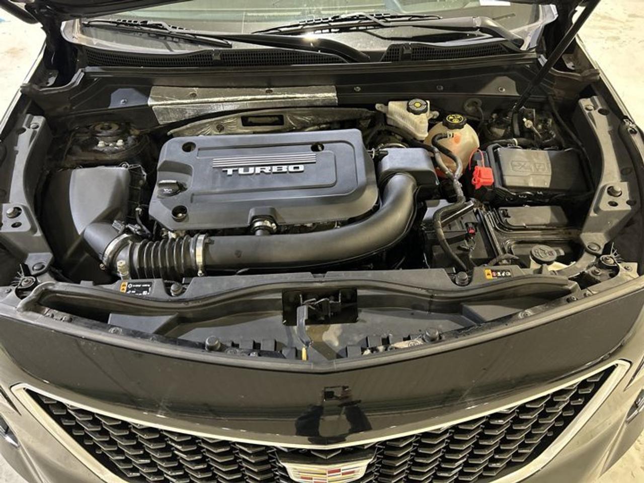 2019 Cadillac XT4 Sport AWD | Panoramic Roof | Leather |NO accidents Photo