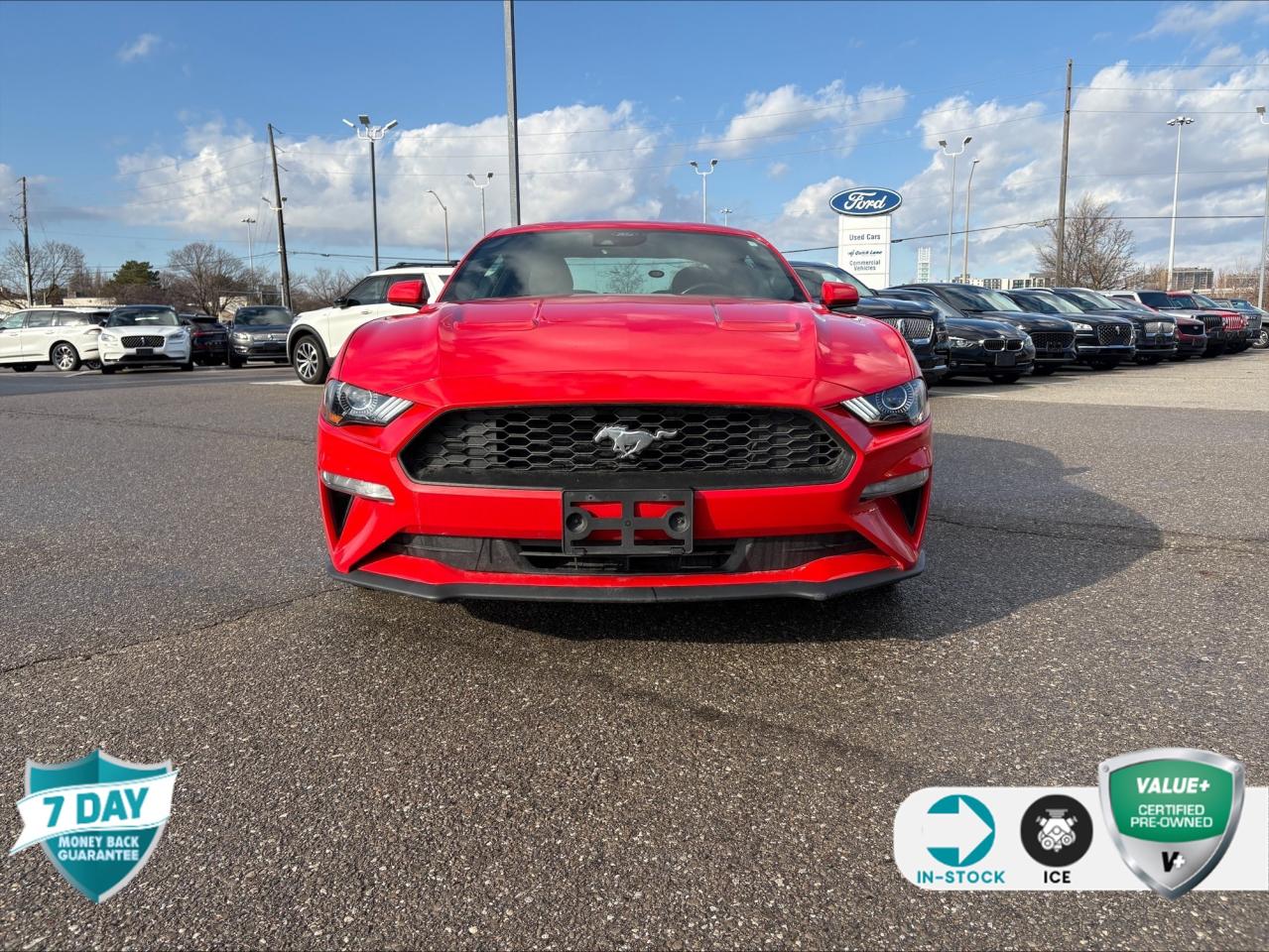 2021 Ford Mustang EcoBoost 101A | 1 OWNER | SAFE & SMART PKG | 10 SPEED AUTO Photo