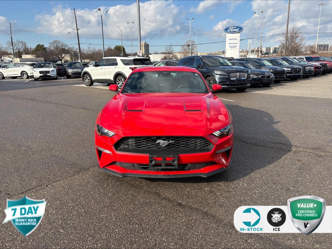 2021 Ford Mustang EcoBoost 101A | 1 OWNER | SAFE & SMART PKG | 10 SPEED AUTO Photo