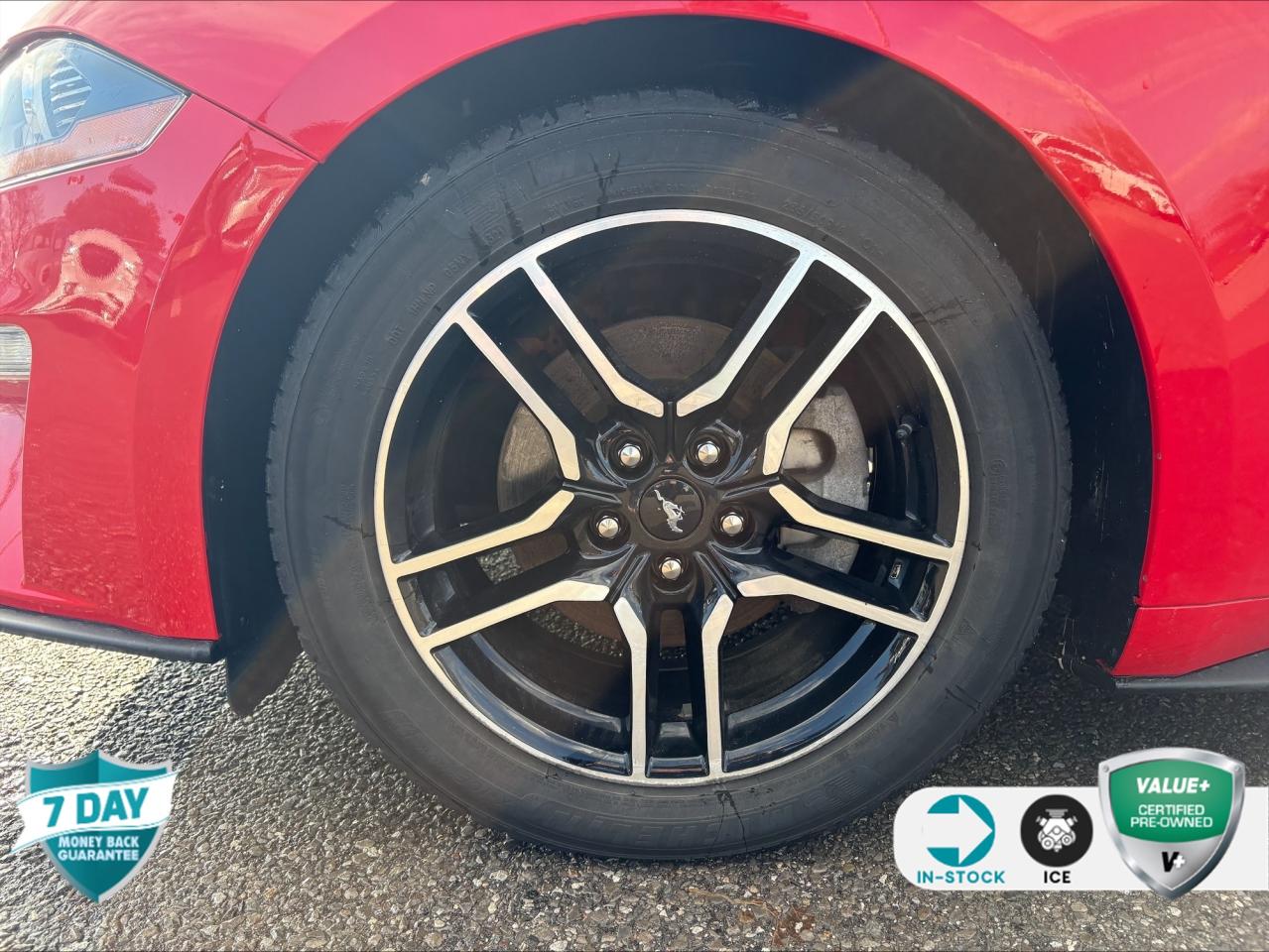 2021 Ford Mustang EcoBoost 101A | 1 OWNER | SAFE & SMART PKG | 10 SPEED AUTO Photo