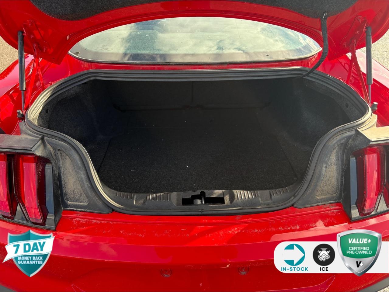 2021 Ford Mustang EcoBoost 101A | 1 OWNER | SAFE & SMART PKG | 10 SPEED AUTO Photo