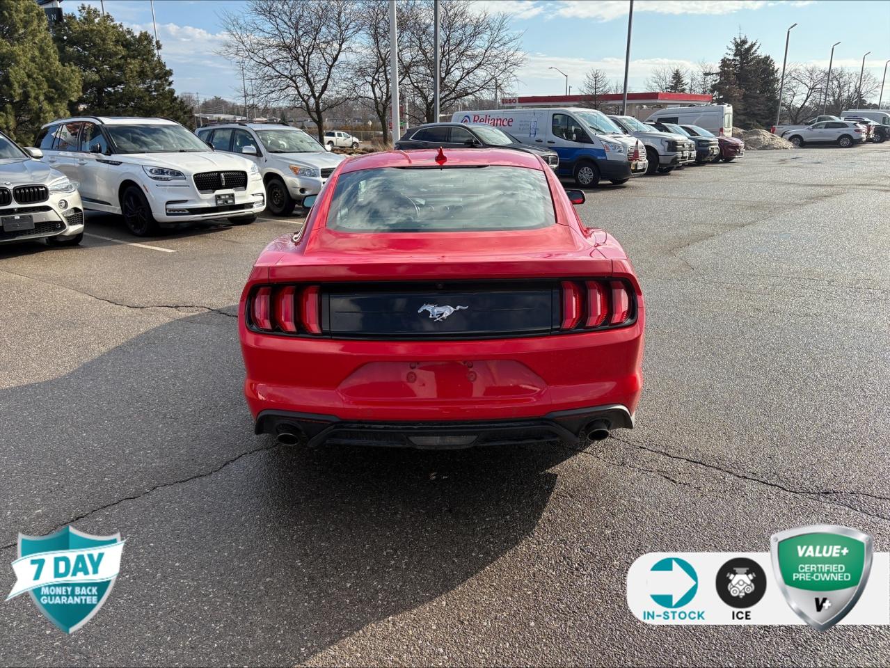 2021 Ford Mustang EcoBoost 101A | 1 OWNER | SAFE & SMART PKG | 10 SPEED AUTO Photo