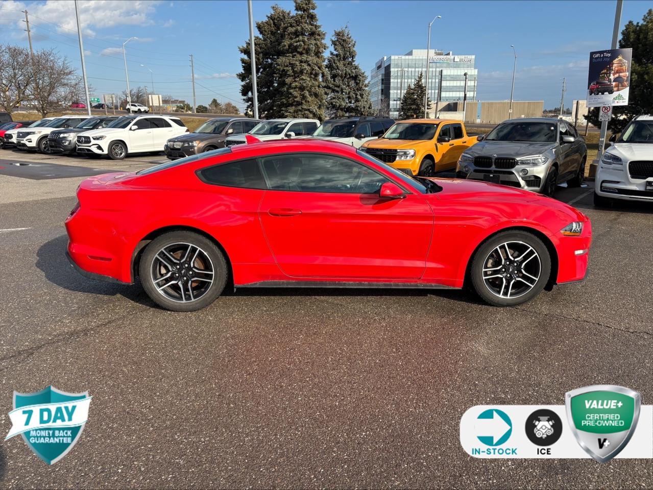 2021 Ford Mustang EcoBoost 101A | 1 OWNER | SAFE & SMART PKG | 10 SPEED AUTO Photo