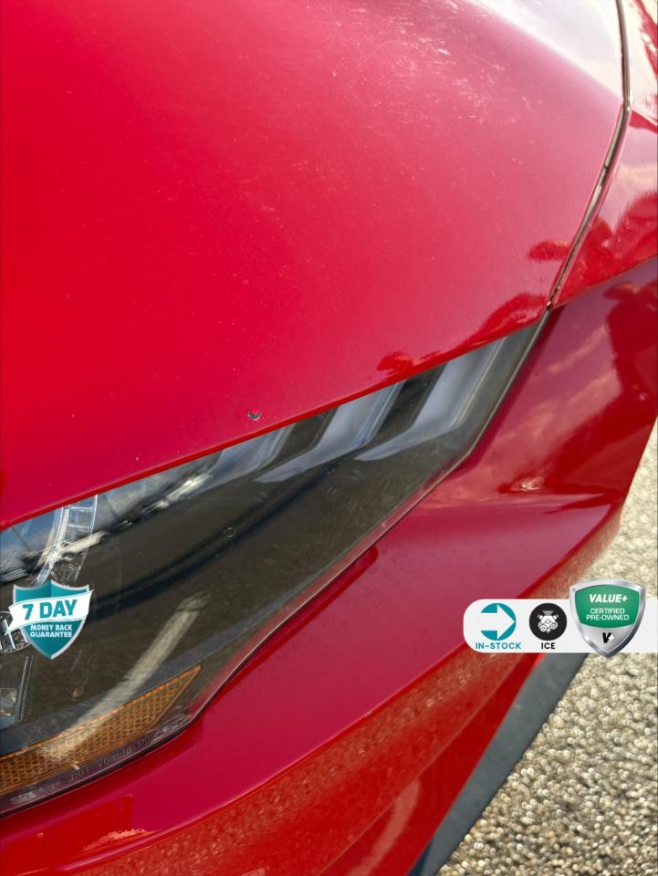 2021 Ford Mustang EcoBoost 101A | 1 OWNER | SAFE & SMART PKG | 10 SPEED AUTO Photo