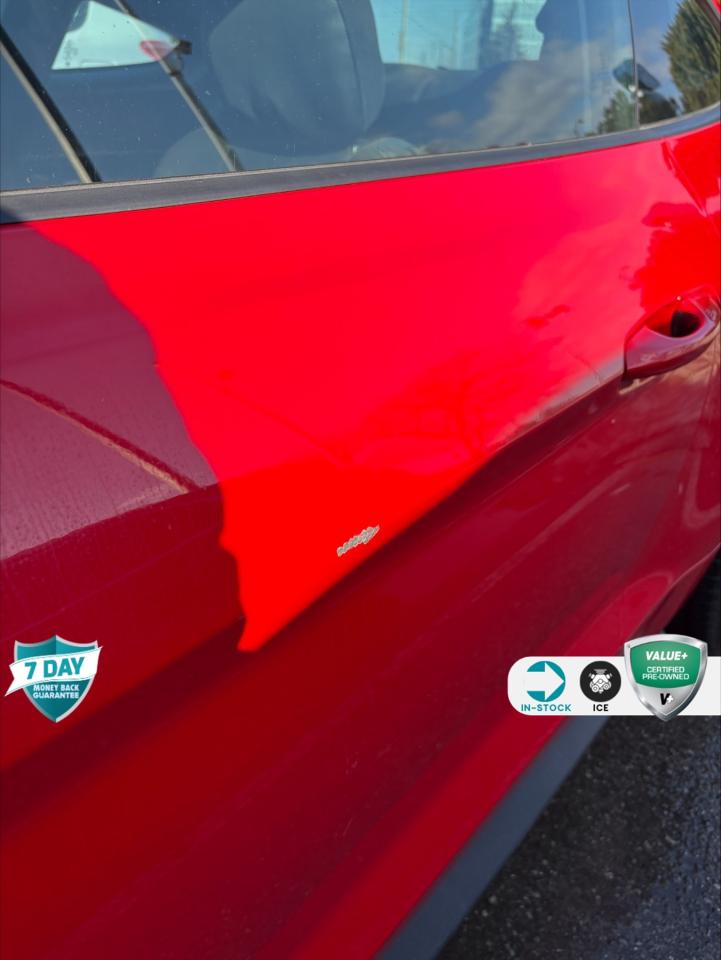 2021 Ford Mustang EcoBoost 101A | 1 OWNER | SAFE & SMART PKG | 10 SPEED AUTO Photo