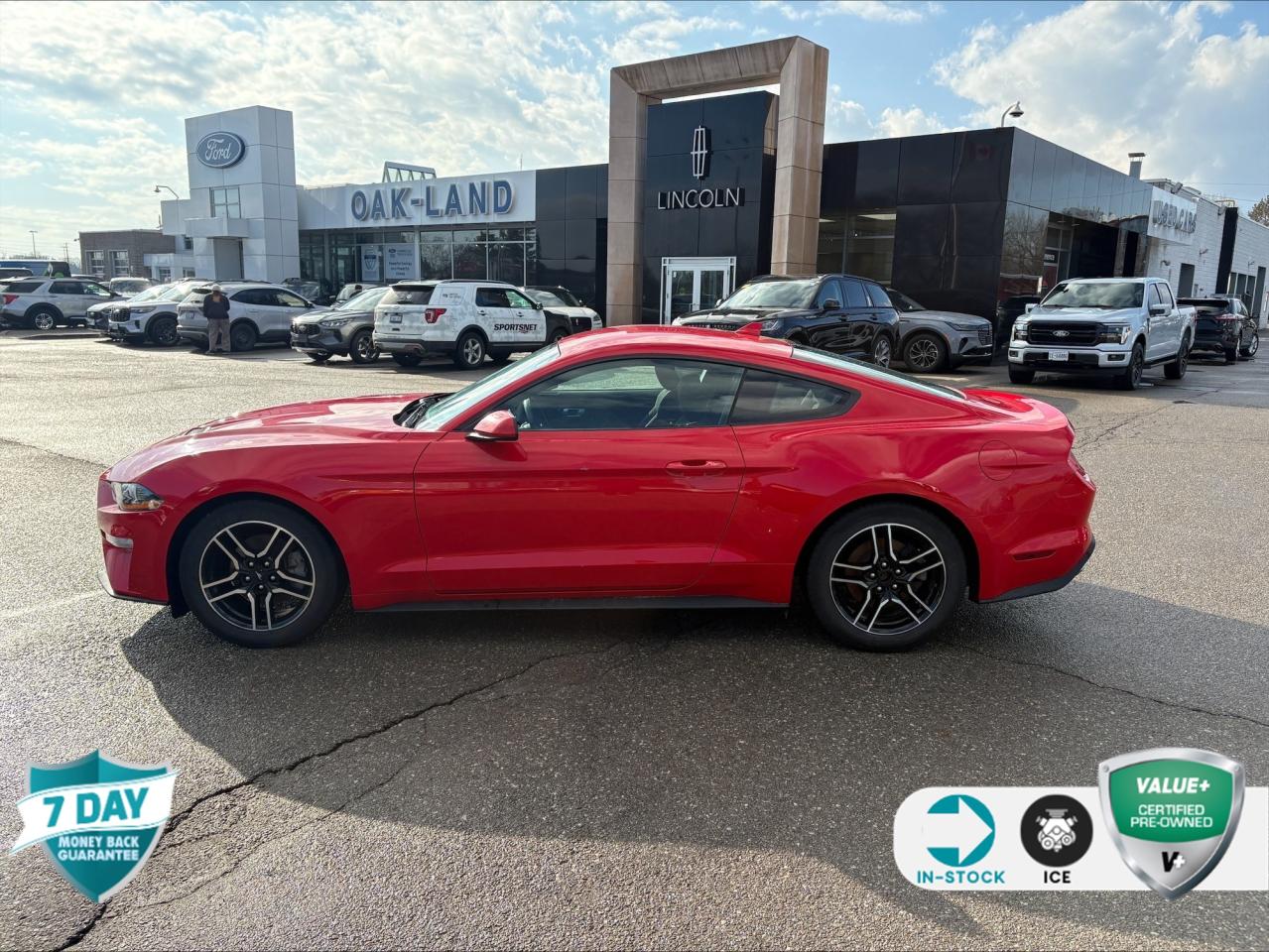 2021 Ford Mustang EcoBoost 101A | 1 OWNER | SAFE & SMART PKG | 10 SPEED AUTO Photo