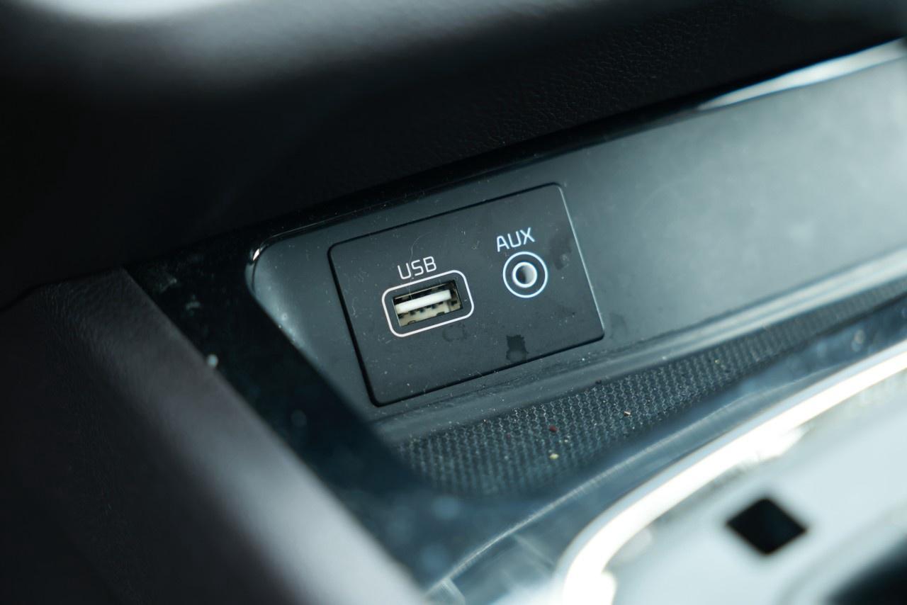 2018 Kia Sedona SXL FWD Photo