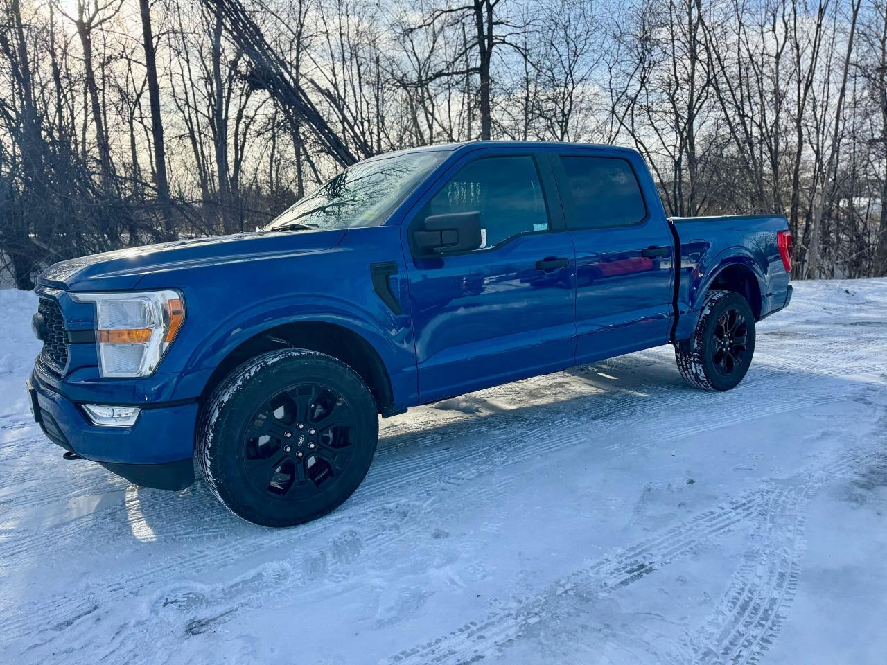 2022 Ford F-150 STX CREW CAB 5.5' Box 4WD Clean Carfax Photo