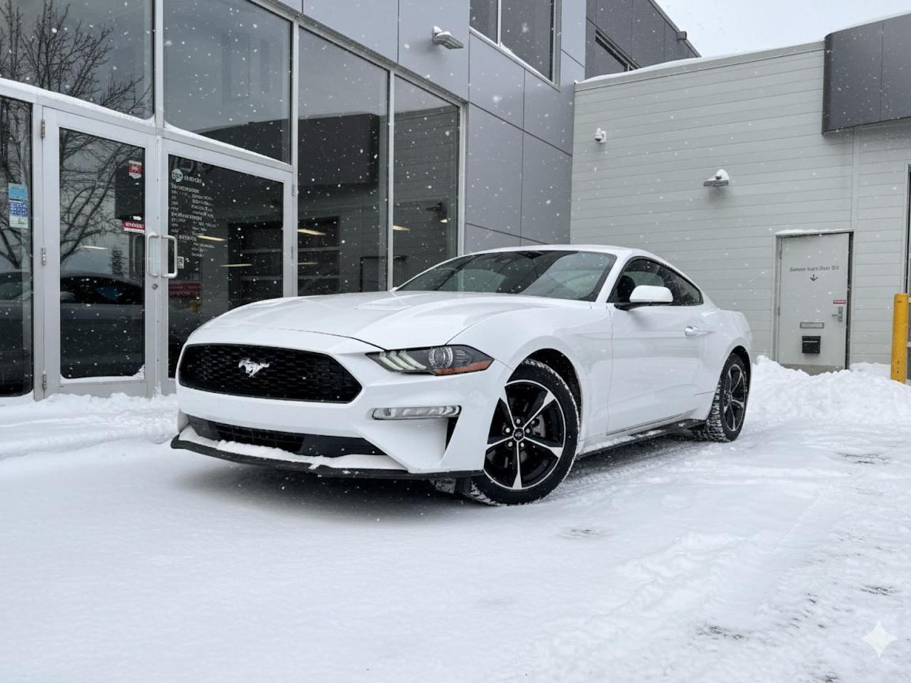 Experience the thrill of driving with this pre-owned 2018 Ford Mustang EcoBoost Fastback in stunning Oxford White with a sleek black interior. Powered by a spirited 2.3L Turbocharged 4-cylinder engine paired with a 6-speed manual transmission, this Mustang delivers performance and control thats pure muscle car excitement.Equipped with 18-inch black alloy wheels and LED headlights, it turns heads wherever you go. Inside, enjoy sporty Ebony cloth bucket seats, the advanced SYNC communication system, and steering wheel-mounted audio and cruise controls for convenience on every drive.Safety is top-notch with 8 airbags, stability control, ABS brakes, and a rear-mounted camera to keep you confident behind the wheel. Whether youre commuting or hitting the open road, this Mustang EcoBoost blends classic muscle with modern technology and style.Dont miss your chance to own a legend  visit Go Mazda today and test drive this outstanding 2018 Mustang EcoBoost Fastback!Go Mazda is an AMVIC licensed business.This vehicle has been registered in the province ofBritish Columbia