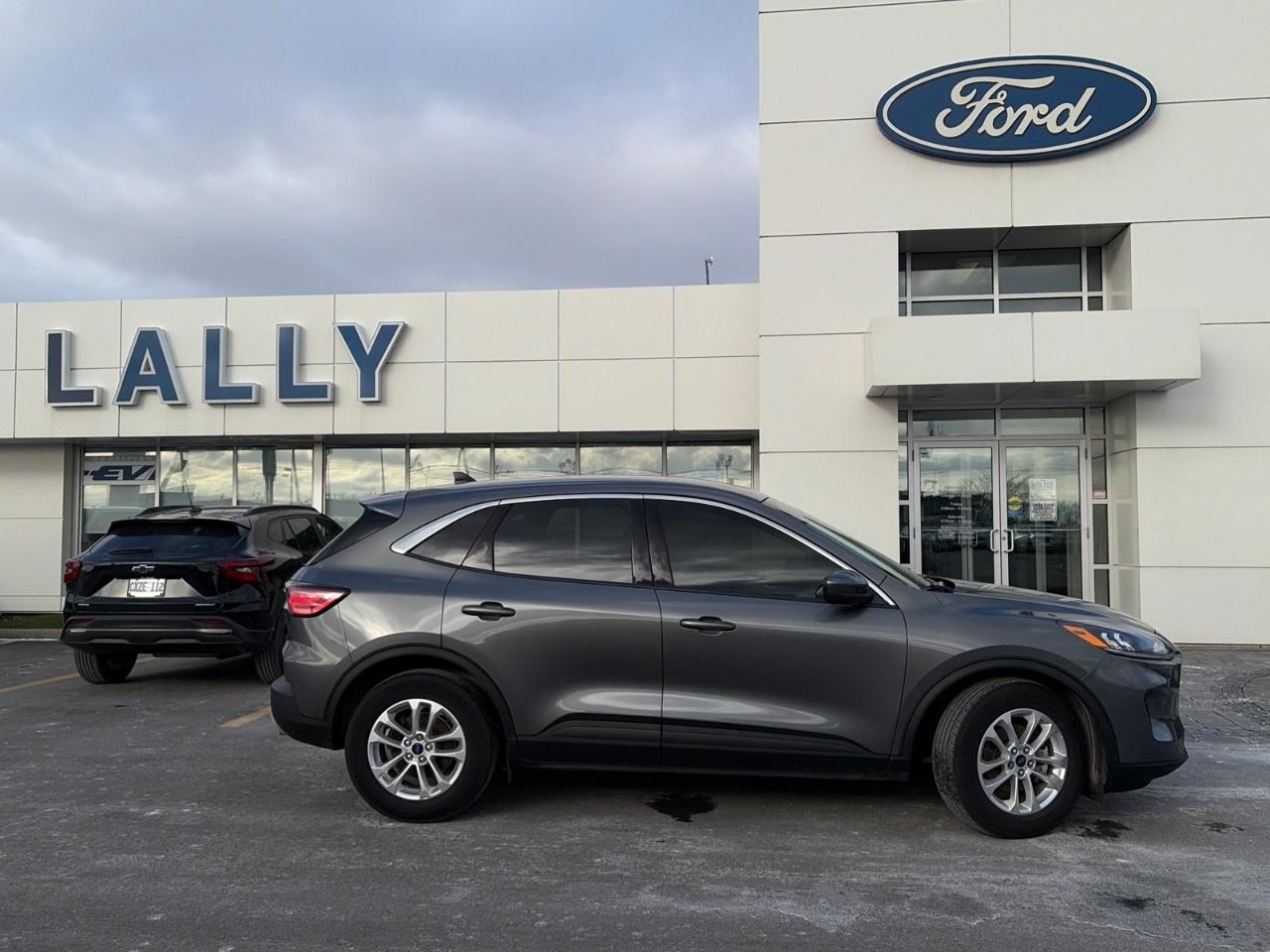 2021 Ford Escape SE FWD Photo