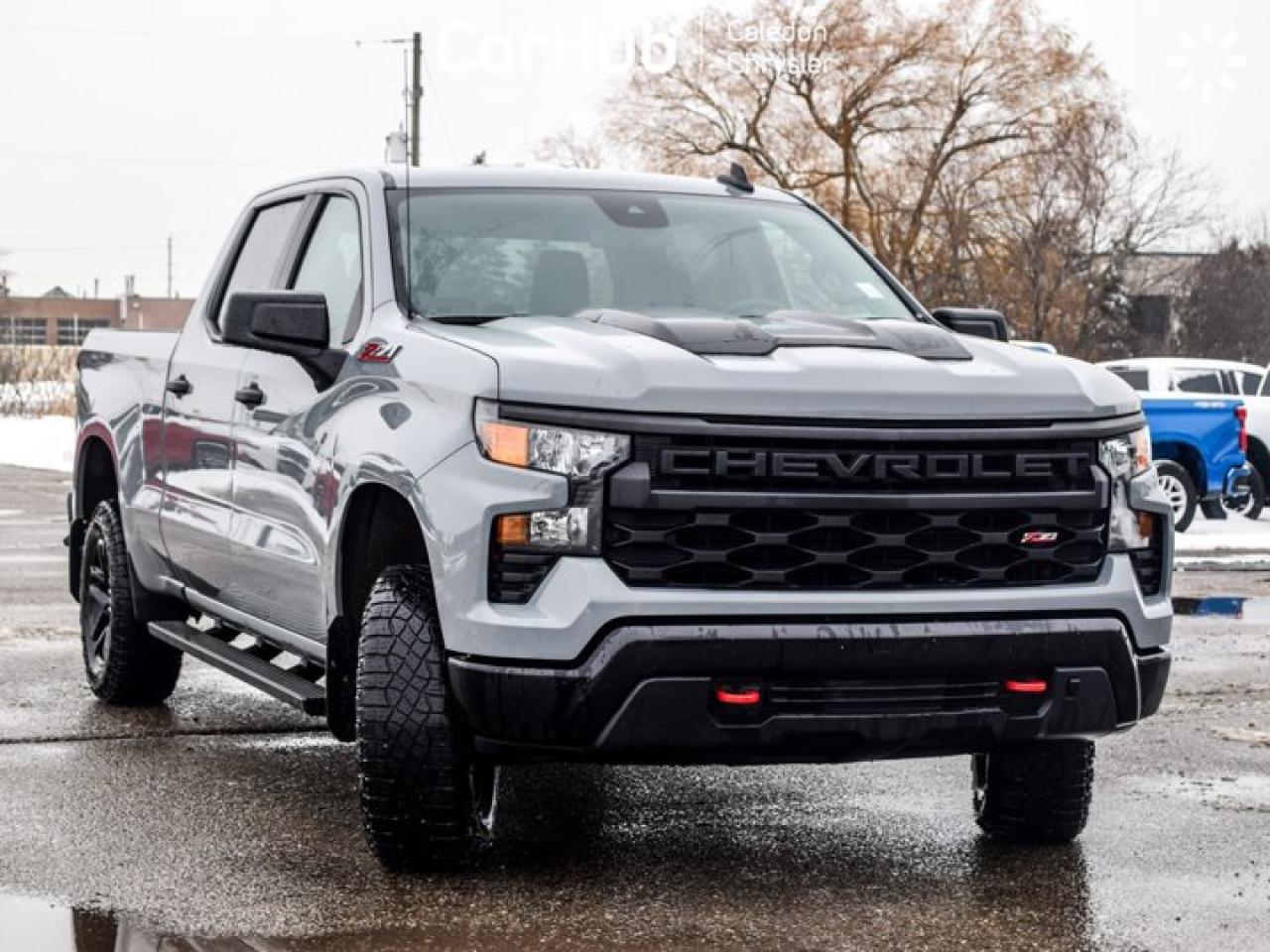 2024 Chevrolet Silverado 1500 Custom Trail Boss 5.3L 4WD Crew Cab 147" 6 Passenger Photo