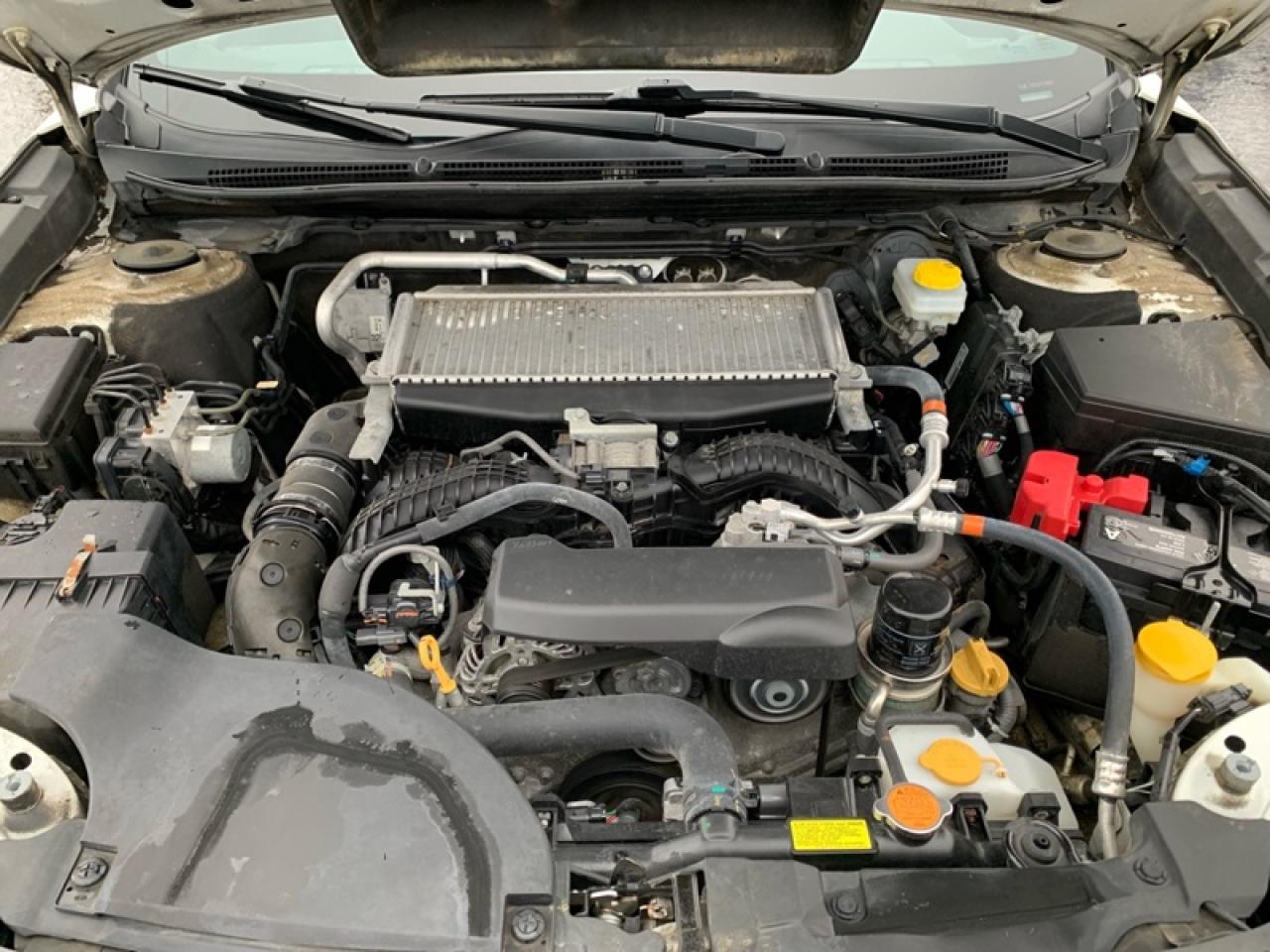 2023 Subaru Outback Wilderness  -  Navigation Photo