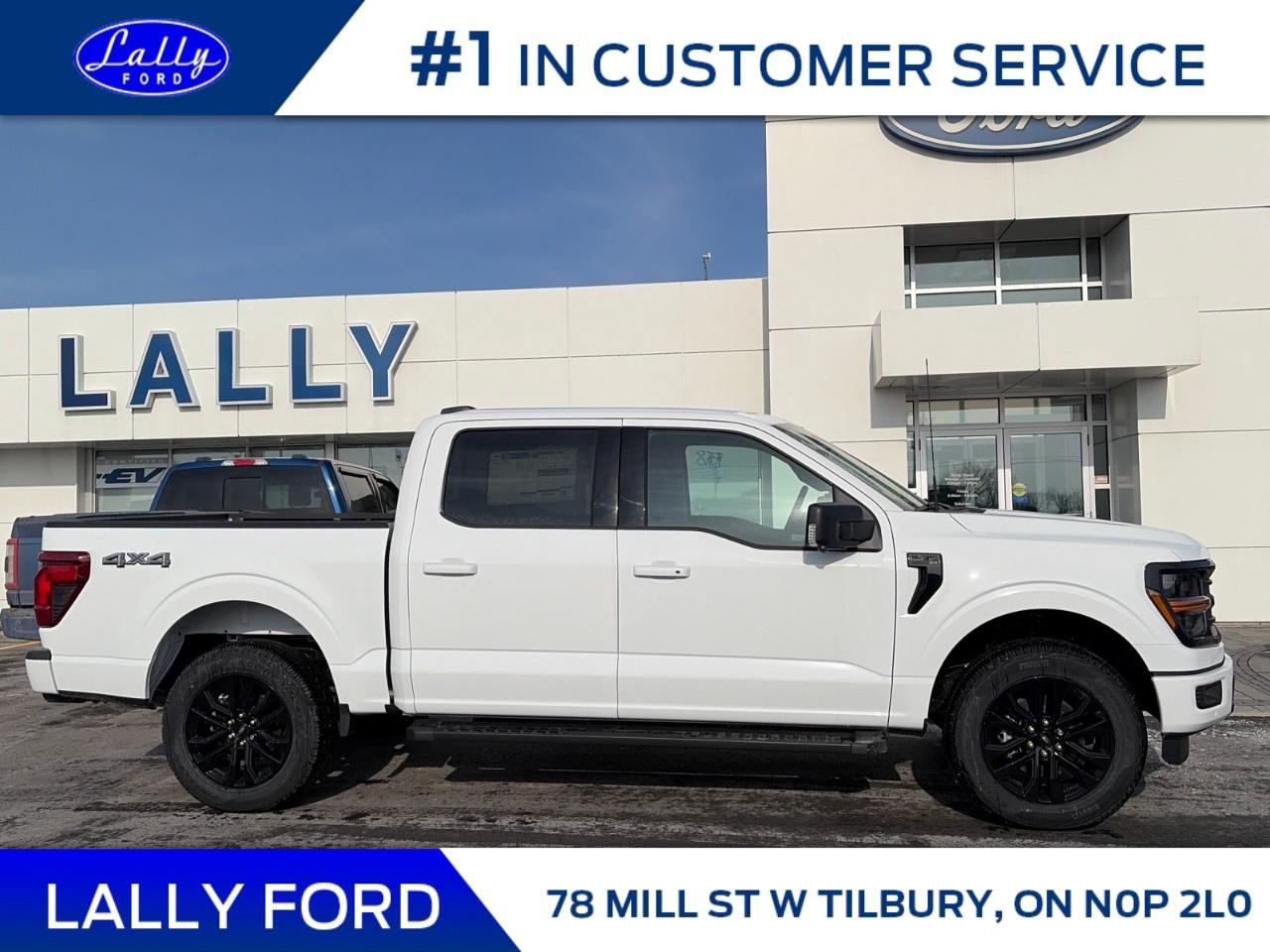 2025 Ford F-150 XLT 4WD SuperCrew 5.5' Box Photo